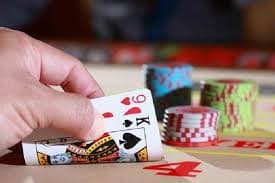 569 bet vip