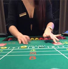 569 bet vip